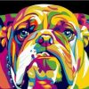 Abstract Bulldog Animals Paint By Numbers