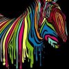 Abstract Colorful Zebra Paint By Numbers