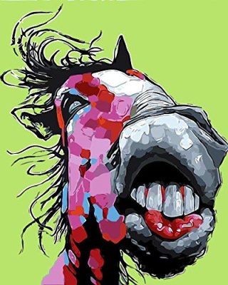 Abstract Funny Horse Animals Paint By Numbers