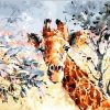 Abstract Giraffe Animals Paint By Numbers