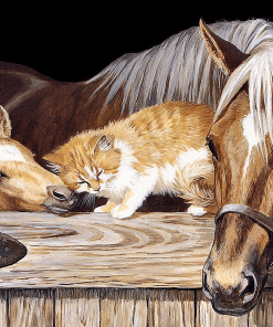 Abstract Horse and Cat Animals Paint By Numbers