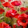 Abstract Poppies Paint By Numbers