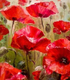 Abstract Poppies Paint By Numbers