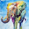 Adorable Elephant Paint By Numbers