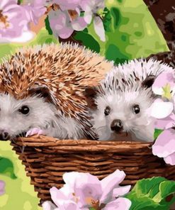 Adorable Hedgehog Paint By Numbers