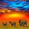 African Elephants Paint By Numbers