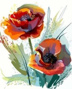 Anemone Flower Paint By Numbers