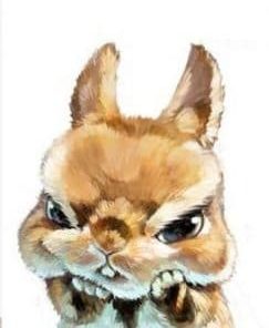 Angry Rabbit Paint By Numbers