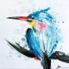 Arctic Tern Paint By Numbers