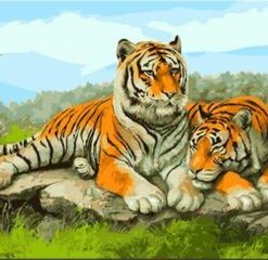 Asian Tigers Paint By Numbers