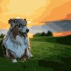 Australian Shepherd Paint By Numbers