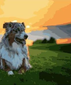 Australian Shepherd Paint By Numbers