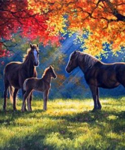 Autumn Horse Paint By Numbers