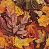 Autumn Leaves Paint By Numbers