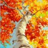 Autumn Tree Paint By Numbers