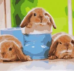 Baby Rabbits Paint By Numbers