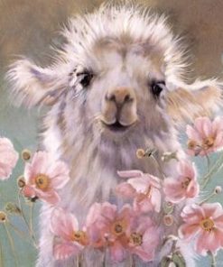 Baby llama Paint By Numbers