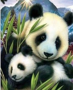 Bamboo Panda Paint By Numbers