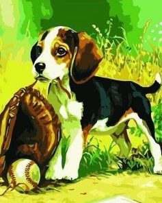 Baseball Dog Paint By Numbers