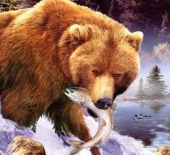 Bear Fishing Paint By Numbers