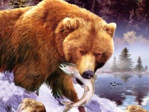 Bear Fishing Paint By Numbers