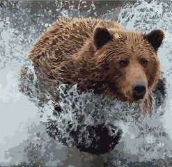 Bear In Water Paint By Numbers