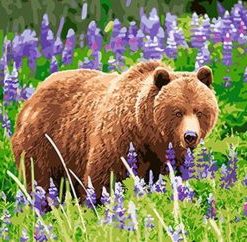 Bear Lavender Field Paint By Numbers