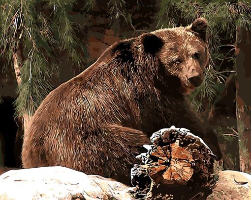 Bear in Forest Paint By Numbers