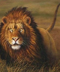 Beast Lion Paint By Numbers