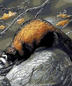 Beaver Animal Paint By Numbers