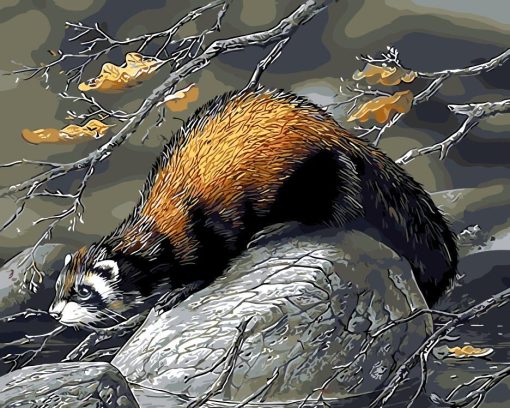 Beaver Animal Paint By Numbers