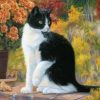 Bicolor Cat Paint By Numbers