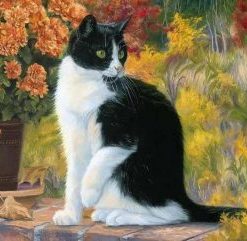 Bicolor Cat Paint By Numbers