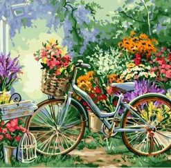 Bicycle Flowers Paint By Numbers