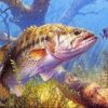 Big Fish Paint By Numbers