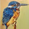 Bird Art Paint By Numbers