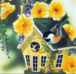 Bird Houses Paint By Numbers