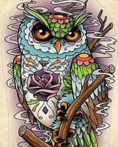 Bird Owl Paint By Numbers