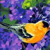 Bird With Flowers Paint By Numbers