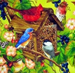 Birds Houses Paint By Numbers