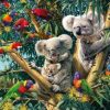 Birds & Koalas Paint By Numbers