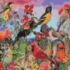 Birds at Garden Paint By Numbers