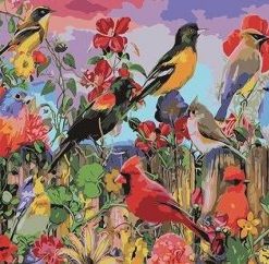 Birds at Garden Paint By Numbers