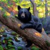 Black Bear Paint By Numbers