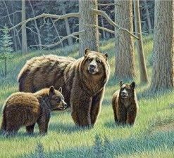 Black Bears Paint By Numbers