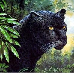 Black Leopard Paint By Numbers