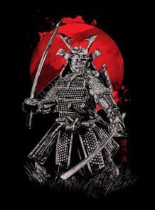 Black Samurai Paint By Numbers