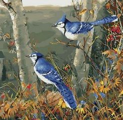 Blue Jay Paint By Numbers