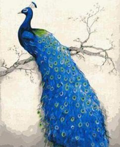 Blue Peacock Paint By Numbers