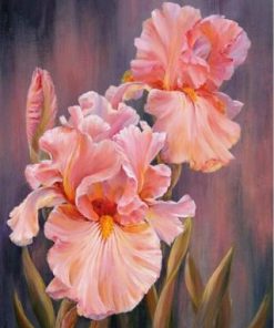 Blushing Flowers Paint By Numbers